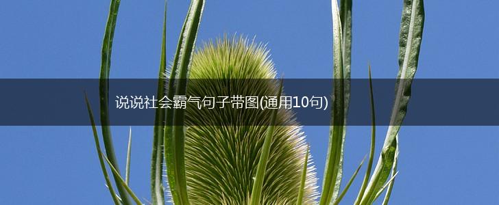 说说社会霸气句子带图(通用10句),第1张