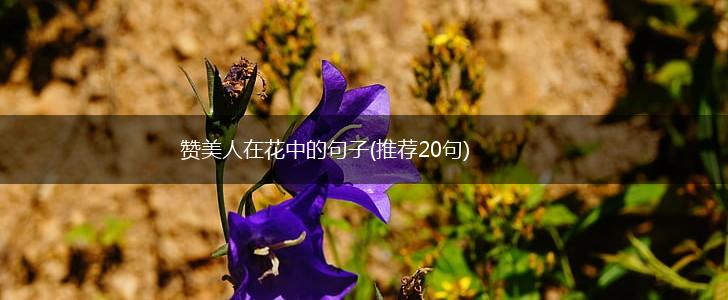 赞美人在花中的句子(推荐20句),第1张