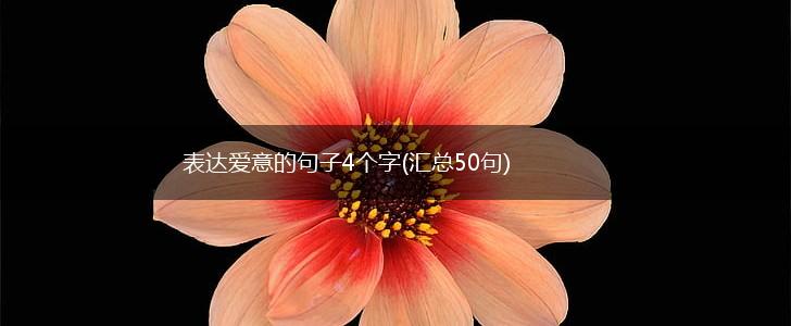 表达爱意的句子4个字(汇总50句),第1张