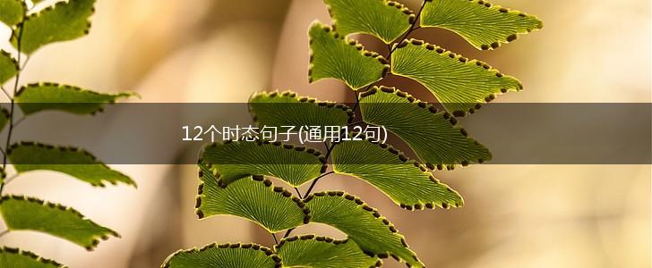 12个时态句子(通用12句),第1张