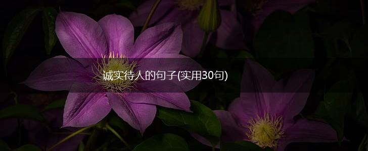 诚实待人的句子(实用30句),第1张