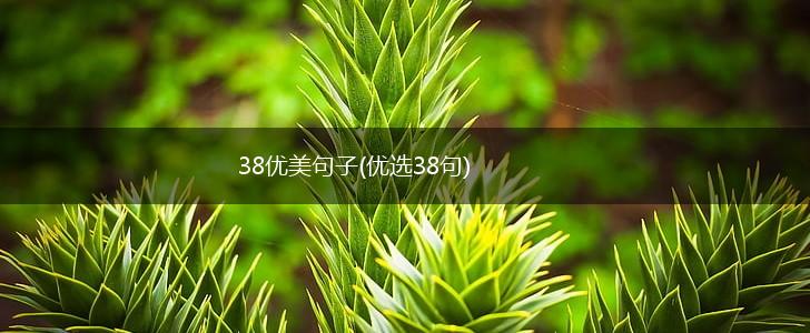 38优美句子(优选38句),第1张