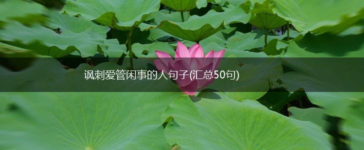 讽刺爱管闲事的人句子(汇总50句),第1张
