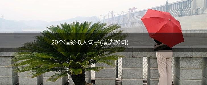 20个精彩拟人句子(精选20句),第1张