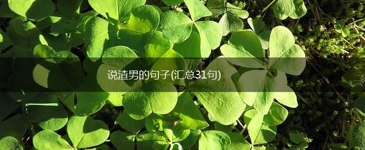 说渣男的句子(汇总31句),第1张