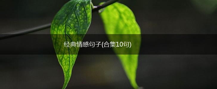 经典情感句子(合集10句),第1张