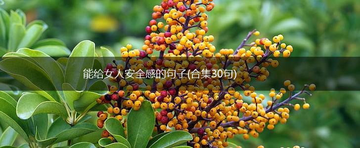 能给女人安全感的句子(合集30句),第1张