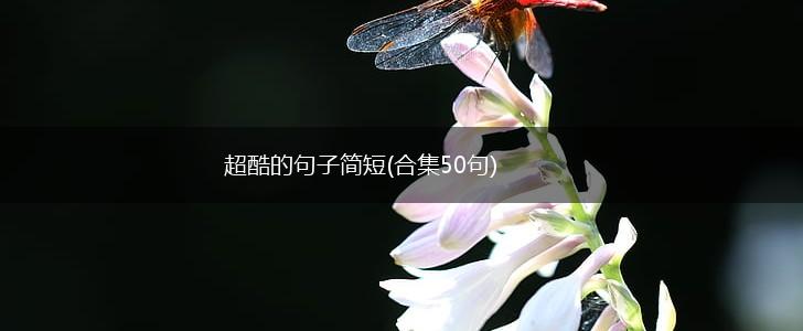 超酷的句子简短(合集50句),第1张