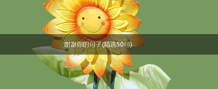 谢谢你的句子(精选50句),第1张