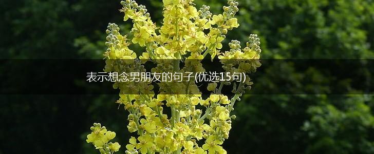 表示想念男朋友的句子(优选15句),第1张