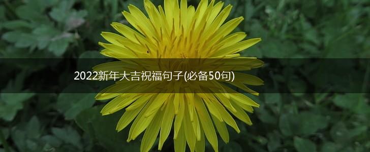 2022新年大吉祝福句子(必备50句),第1张