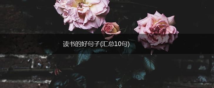 读书的好句子(汇总10句),第1张