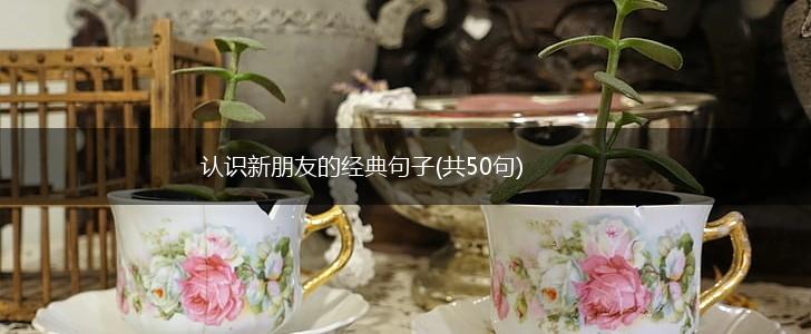 认识新朋友的经典句子(共50句),第1张