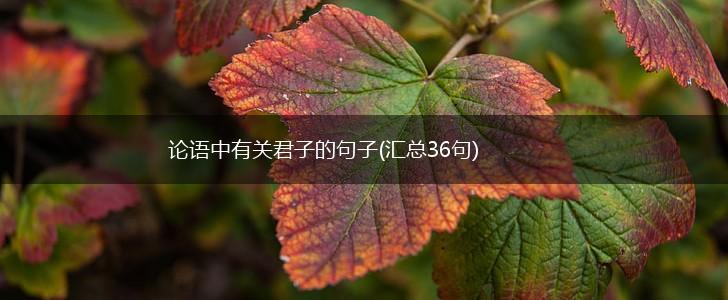 论语中有关君子的句子(汇总36句),第1张