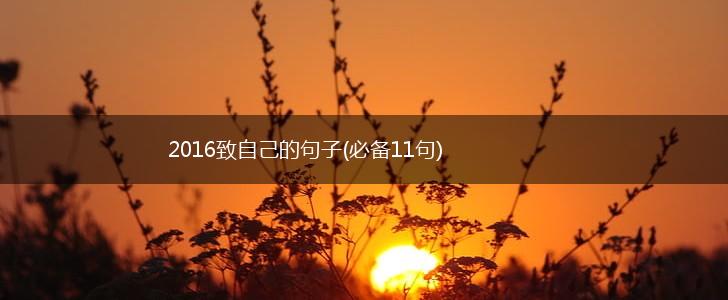 2016致自己的句子(必备11句),第1张