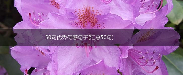 50句优秀伤感句子(汇总50句),第1张