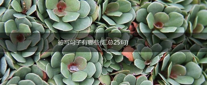 被写句子有哪些(汇总25句),第1张