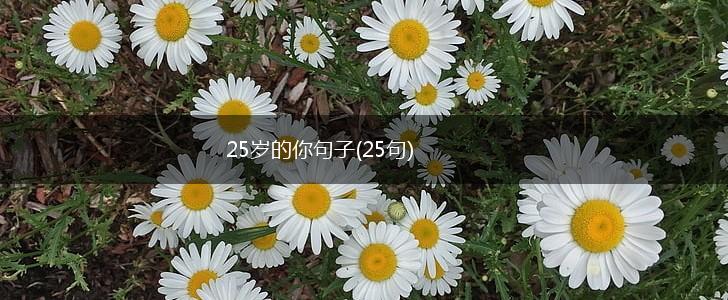 25岁的你句子(25句),第1张