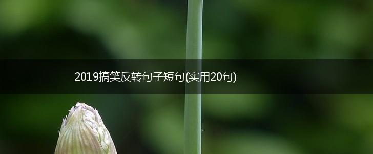 2019搞笑反转句子短句(实用20句),第1张