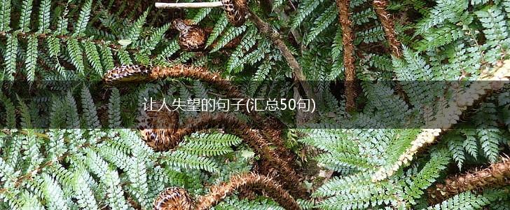 让人失望的句子(汇总50句),第1张