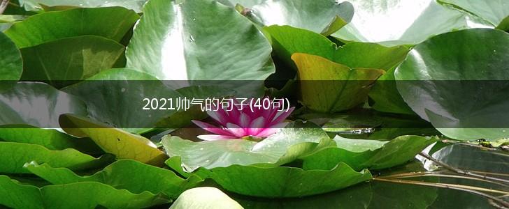 2021帅气的句子(40句),第1张