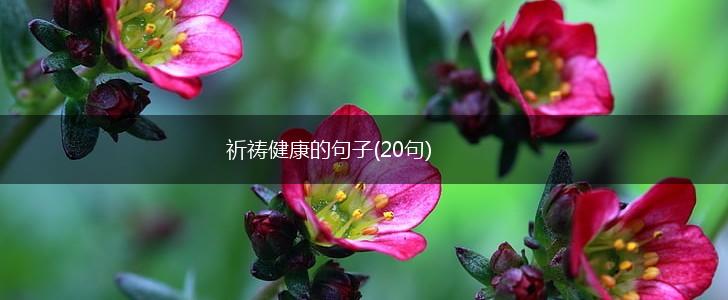 祈祷健康的句子(20句),第1张