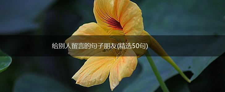 给别人留言的句子朋友(精选50句),第1张