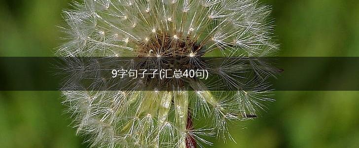 9字句子子(汇总40句),第1张