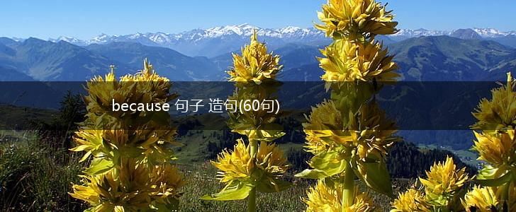because 句子 造句(60句),第1张