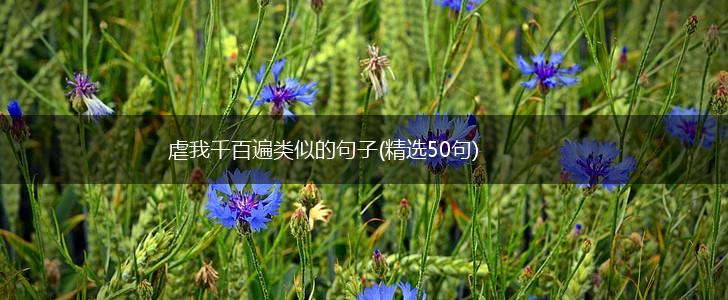 虐我千百遍类似的句子(精选50句),第1张