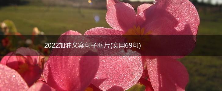 2022加油文案句子图片(实用69句),第1张