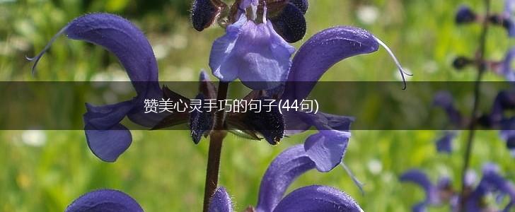 赞美心灵手巧的句子(44句),第1张