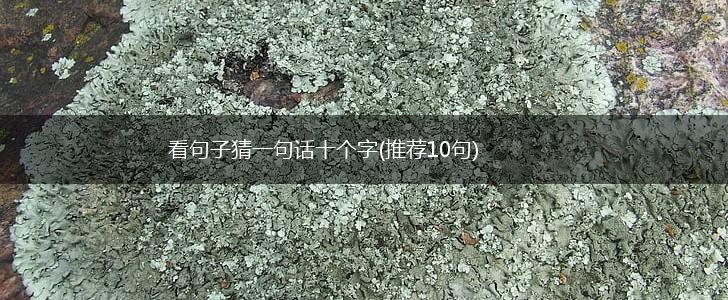 看句子猜一句话十个字(推荐10句),第1张