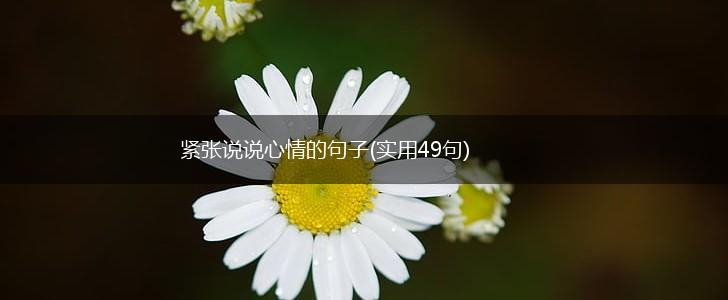 紧张说说心情的句子(实用49句),第1张