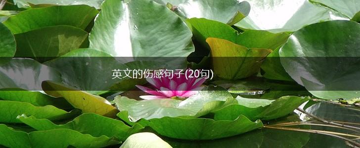 英文的伤感句子(20句),第1张