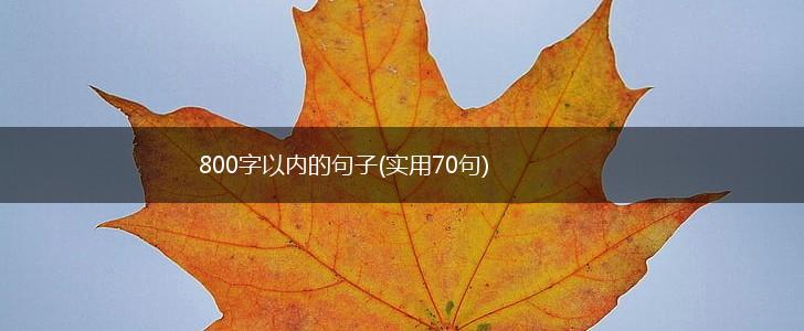 800字以内的句子(实用70句),第1张