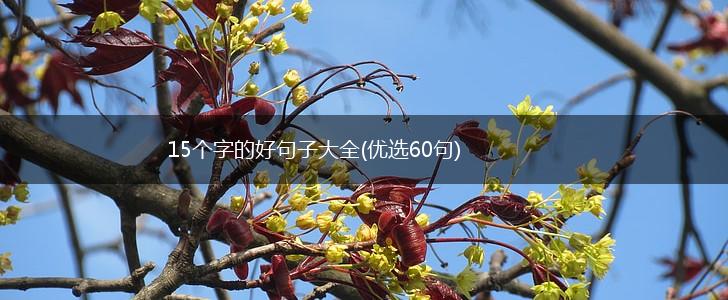 15个字的好句子大全(优选60句),第1张