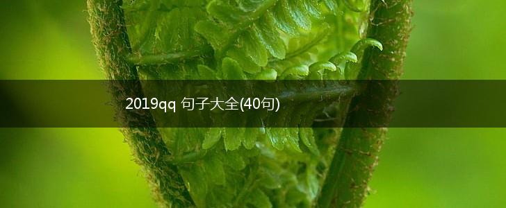 2019qq 句子大全(40句),第1张