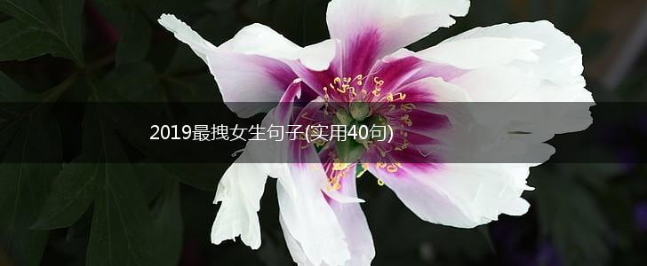 2019最拽女生句子(实用40句),第1张