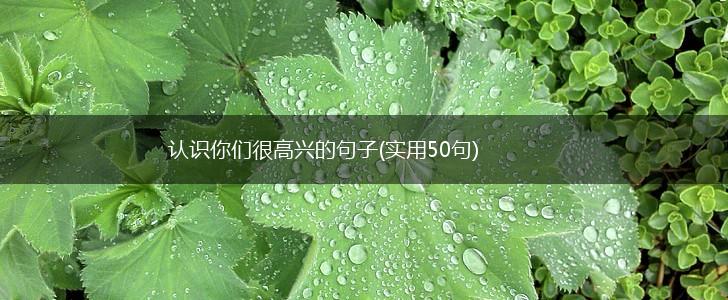 认识你们很高兴的句子(实用50句),第1张