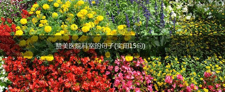 赞美医院科室的句子(实用15句),第1张