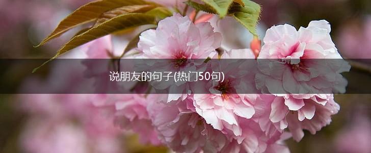 说朋友的句子(热门50句),第1张