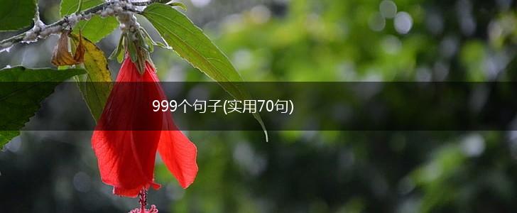 999个句子(实用70句),第1张