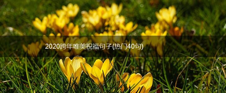 2020跨年唯美祝福句子(热门40句),第1张