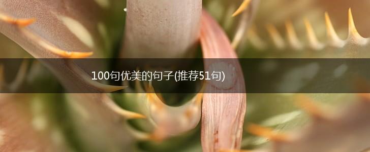 100句优美的句子(推荐51句),第1张