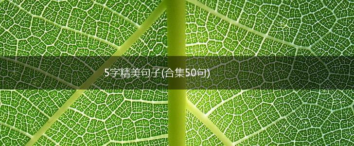 5字精美句子(合集50句),第1张