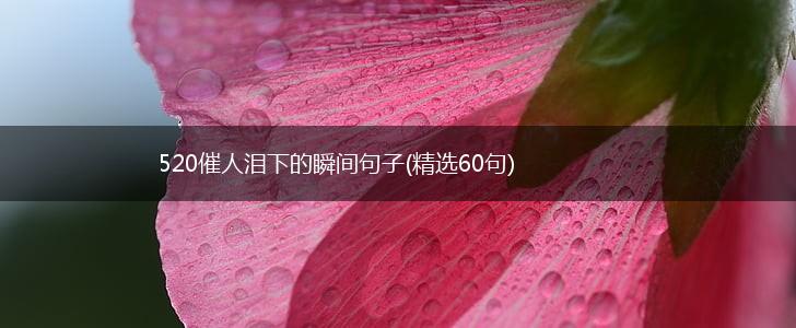 520催人泪下的瞬间句子(精选60句),第1张