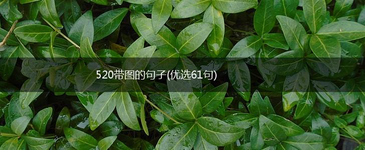 520带图的句子(优选61句),第1张