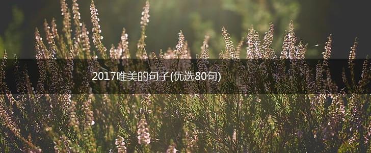 2017唯美的句子(优选80句),第1张