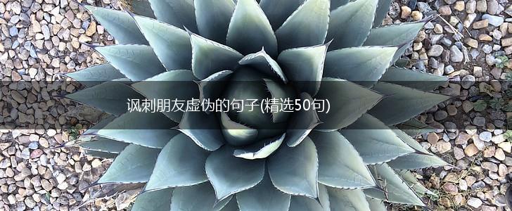 讽刺朋友虚伪的句子(精选50句),第1张